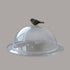 Bird Cake Cloches