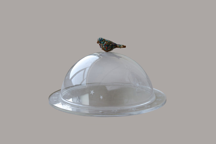 Bird Cake Cloches